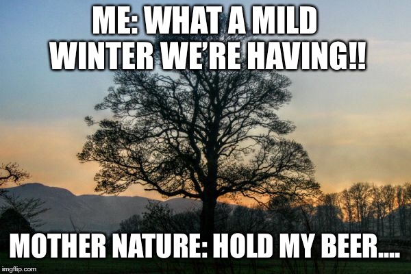 NC WINTERS | ME: WHAT A MILD WINTER WE’RE HAVING!! MOTHER NATURE: HOLD MY BEER.... | image tagged in nc,cold weather,weather | made w/ Imgflip meme maker