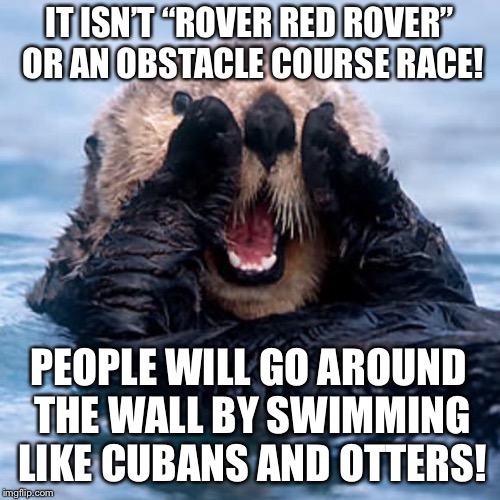 The wall does not work on Cubans | IT ISN’T “ROVER RED ROVER” OR AN OBSTACLE COURSE RACE! PEOPLE WILL GO AROUND THE WALL BY SWIMMING LIKE CUBANS AND OTTERS! | image tagged in shouting otter,memes,the wall,cuban,swim,mexico | made w/ Imgflip meme maker