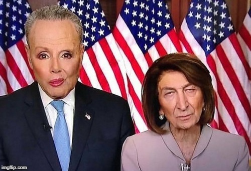 Can't get this image out of my head...does this go in 'fun' or 'politics'? | TOP TEXT; BOTTOM TEXT | image tagged in chuck and nancy,face swap,ugly,memes,government shutdown | made w/ Imgflip meme maker