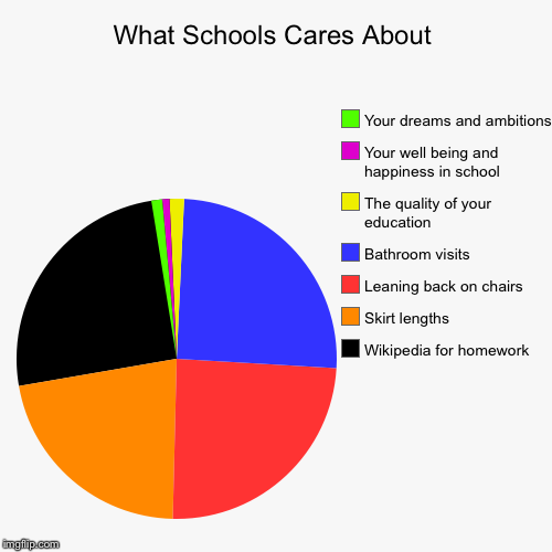 What Schools Cares About | Wikipedia for homework, Skirt lengths, Leaning back on chairs, Bathroom visits, The quality of your education, Yo | image tagged in funny,pie charts | made w/ Imgflip chart maker