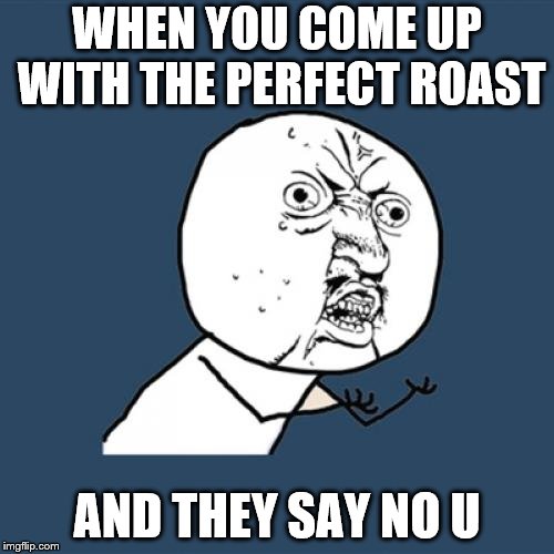 Y U No Meme | WHEN YOU COME UP WITH THE PERFECT ROAST; AND THEY SAY NO U | image tagged in memes,y u no | made w/ Imgflip meme maker