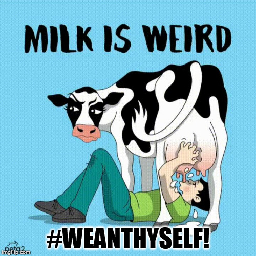 Wean Thyself! | #WEANTHYSELF! | image tagged in milk,got milk | made w/ Imgflip meme maker