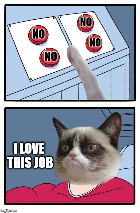 Tough Choice  | NO; NO; NO; NO; I LOVE THIS JOB | image tagged in funny memes,grumpy cat four buttons,cat,grumpy cat,meme,cat meme | made w/ Imgflip meme maker