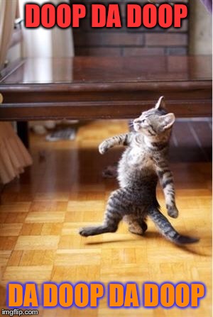 Walking Cat | DOOP DA DOOP; DA DOOP DA DOOP | image tagged in walking cat | made w/ Imgflip meme maker