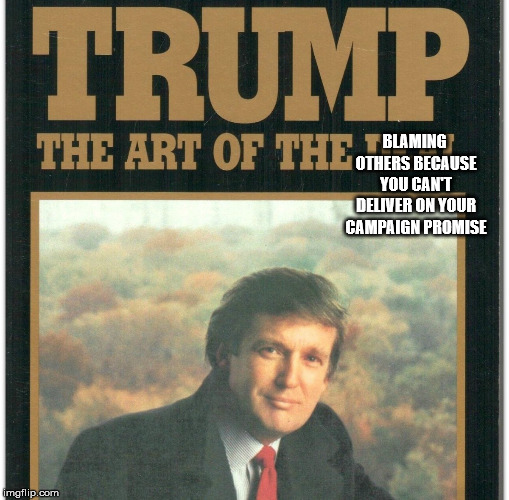 Trump: The Art Of The Deal | BLAMING OTHERS BECAUSE YOU CAN'T DELIVER ON YOUR CAMPAIGN PROMISE | image tagged in trump the art of the deal | made w/ Imgflip meme maker
