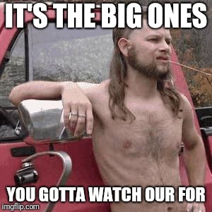 almost redneck | IT'S THE BIG ONES YOU GOTTA WATCH OUR FOR | image tagged in almost redneck | made w/ Imgflip meme maker