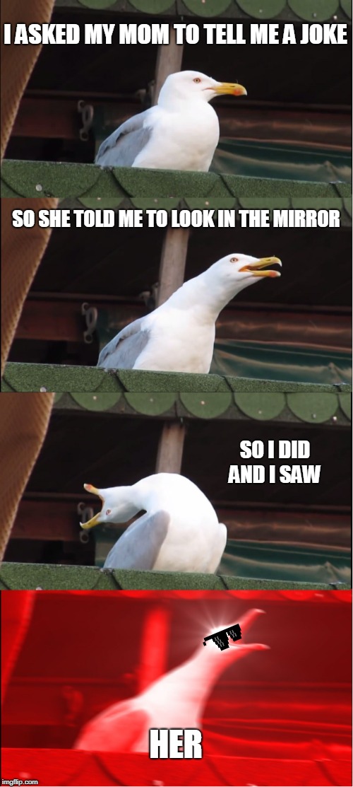 Inhaling Seagull Meme | I ASKED MY MOM TO TELL ME A JOKE; SO SHE TOLD ME TO LOOK IN THE MIRROR; SO I DID AND I SAW; HER | image tagged in memes,inhaling seagull | made w/ Imgflip meme maker