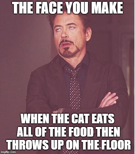 Face You Make Robert Downey Jr | THE FACE YOU MAKE; WHEN THE CAT EATS ALL OF THE FOOD THEN THROWS UP ON THE FLOOR | image tagged in memes,face you make robert downey jr | made w/ Imgflip meme maker