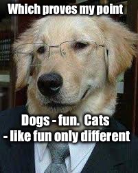 Which proves my point Dogs - fun.  Cats - like fun only different | made w/ Imgflip meme maker
