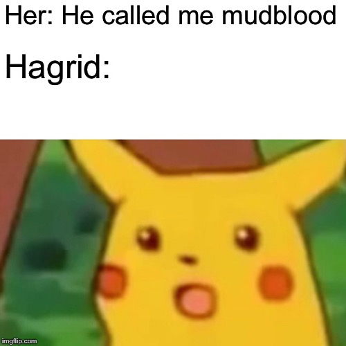 Surprised Pikachu | Her: He called me mudblood; Hagrid: | image tagged in memes,surprised pikachu | made w/ Imgflip meme maker