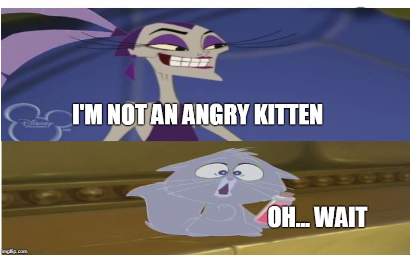 Angry Kittens | I'M NOT AN ANGRY KITTEN; OH... WAIT | image tagged in funny | made w/ Imgflip meme maker