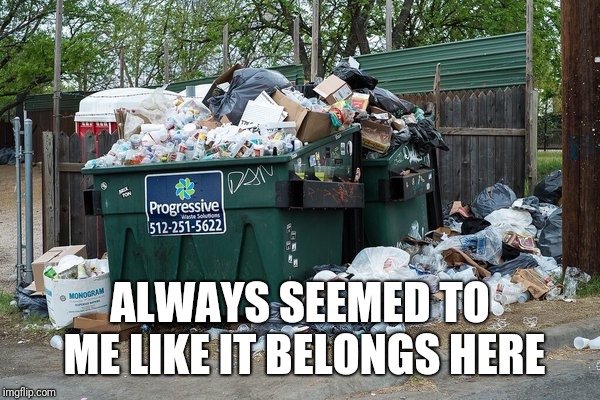 garbage  | ALWAYS SEEMED TO ME LIKE IT BELONGS HERE | image tagged in garbage | made w/ Imgflip meme maker