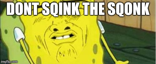 Spongebob Stink  | DONT SQINK THE SQONK | image tagged in spongebob stink | made w/ Imgflip meme maker