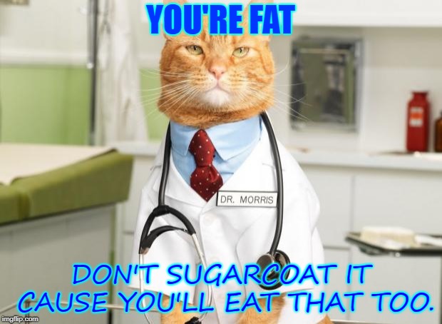 Cat Doctor | YOU'RE FAT; DON'T SUGARCOAT IT CAUSE YOU'LL EAT THAT TOO. | image tagged in cat doctor | made w/ Imgflip meme maker