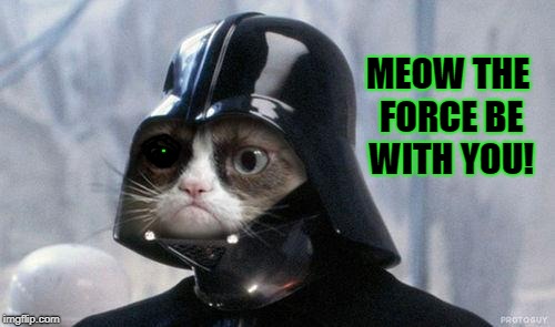 Grumpy Cat Star Wars Meme | MEOW THE FORCE BE WITH YOU! | image tagged in memes,grumpy cat star wars,grumpy cat | made w/ Imgflip meme maker