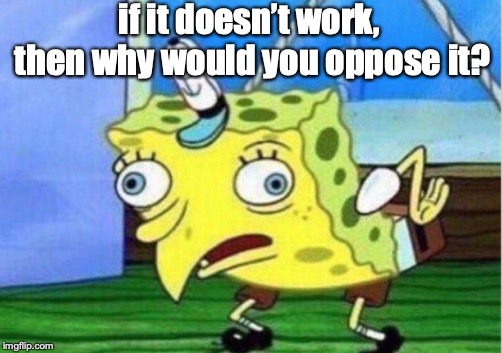Mocking Spongebob Meme | if it doesn’t work, then why would you oppose it? | image tagged in memes,mocking spongebob | made w/ Imgflip meme maker