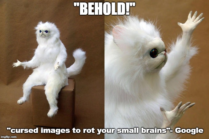 Persian Cat Room Guardian Meme | "BEHOLD!"; "cursed images to rot your small brains"- Google | image tagged in memes,persian cat room guardian | made w/ Imgflip meme maker