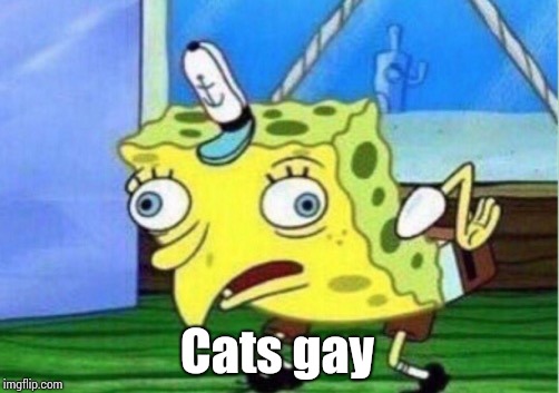 Mocking Spongebob Meme | Cats gay | image tagged in memes,mocking spongebob | made w/ Imgflip meme maker