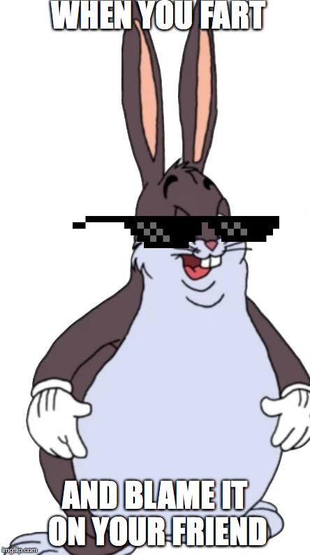 BIG CHUNGUS HAVE NO TIME FOR UR PROBLEMS | WHEN YOU FART; AND BLAME IT ON YOUR FRIEND | image tagged in big chungus | made w/ Imgflip meme maker