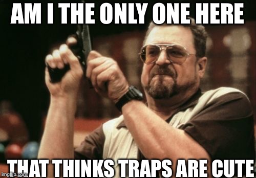 Am I The Only One Around Here | AM I THE ONLY ONE HERE; THAT THINKS TRAPS ARE CUTE | image tagged in memes,am i the only one around here | made w/ Imgflip meme maker