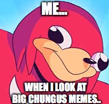 Big chungus memes make me like.... | ME... WHEN I LOOK AT BIG CHUNGUS MEMES.. | image tagged in big chungus | made w/ Imgflip meme maker
