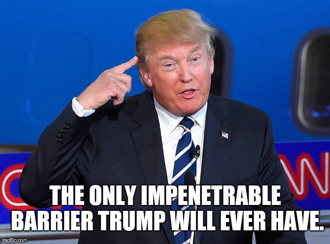 Trump pointing to his head | THE ONLY IMPENETRABLE BARRIER TRUMP WILL EVER HAVE. | image tagged in trump pointing to his head | made w/ Imgflip meme maker
