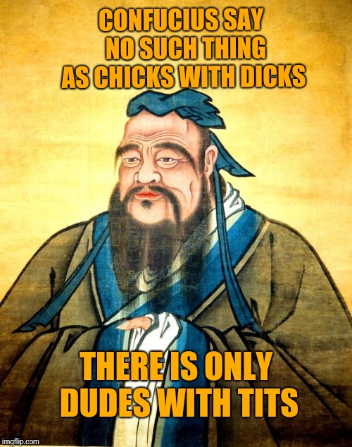confucius | CONFUCIUS SAY  NO SUCH THING AS CHICKS WITH DICKS; THERE IS ONLY DUDES WITH TITS | image tagged in confucius | made w/ Imgflip meme maker