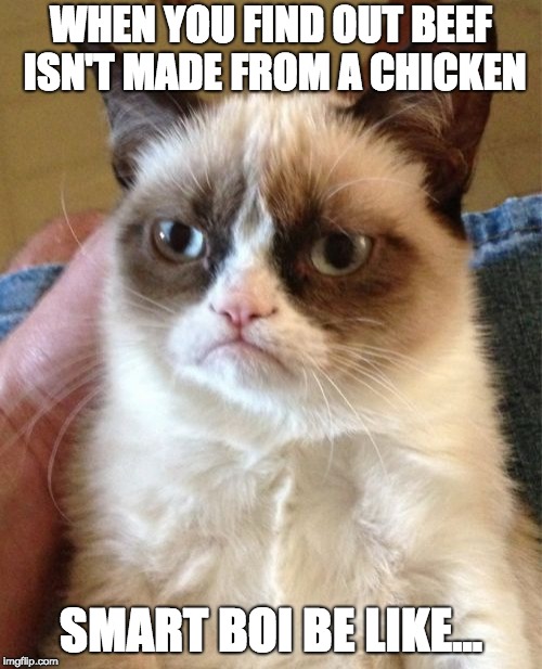 Grumpy Cat | WHEN YOU FIND OUT BEEF ISN'T MADE FROM A CHICKEN; SMART BOI BE LIKE... | image tagged in memes,grumpy cat | made w/ Imgflip meme maker