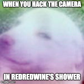 Lil smonky | WHEN YOU HACK THE CAMERA; IN REDREDWINE'S SHOWER | image tagged in lil smonky | made w/ Imgflip meme maker