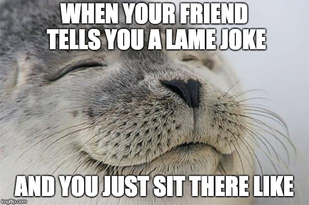Satisfied Seal Meme | WHEN YOUR FRIEND TELLS YOU A LAME JOKE; AND YOU JUST SIT THERE LIKE | image tagged in memes,satisfied seal | made w/ Imgflip meme maker