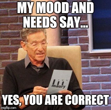 Maury Lie Detector Meme | MY MOOD AND NEEDS SAY... YES, YOU ARE CORRECT | image tagged in memes,maury lie detector | made w/ Imgflip meme maker