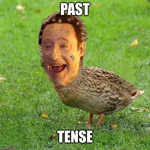 Im From Past 2 Yrs Ago Tense | PAST; TENSE | image tagged in cool bullshit da data duckith,balls up,data duck from the past | made w/ Imgflip meme maker