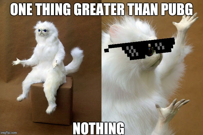 Persian Cat Room Guardian Meme | ONE THING GREATER THAN PUBG; NOTHING | image tagged in memes,persian cat room guardian | made w/ Imgflip meme maker