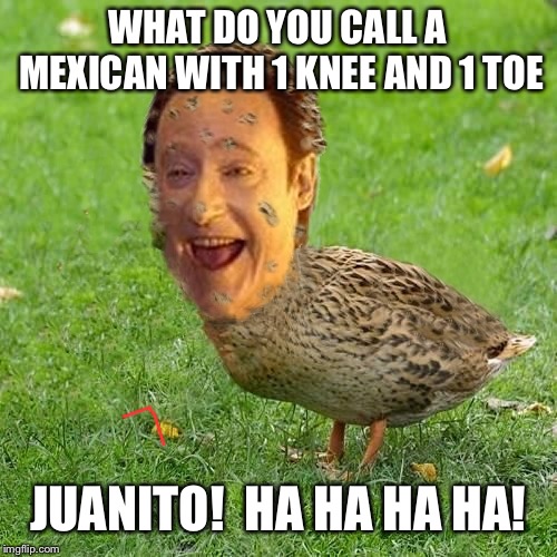 Cool Bullshit Da data duckith | WHAT DO YOU CALL A MEXICAN WITH 1 KNEE AND 1 TOE; JUANITO!  HA HA HA HA! | image tagged in cool bullshit da data duckith | made w/ Imgflip meme maker