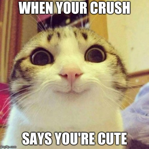 Smiling Cat Meme | WHEN YOUR CRUSH; SAYS YOU'RE CUTE | image tagged in memes,smiling cat | made w/ Imgflip meme maker