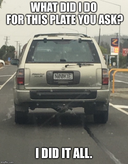 WHAT DID I DO FOR THIS PLATE YOU ASK? I DID IT ALL. | image tagged in nookie | made w/ Imgflip meme maker