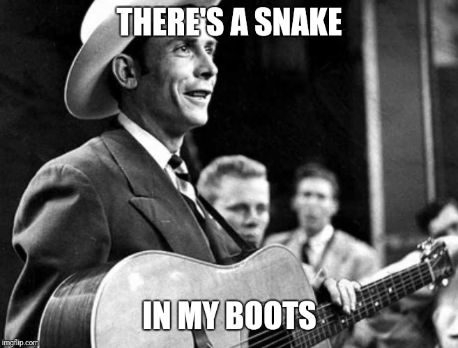 hank williams | THERE'S A SNAKE; IN MY BOOTS | image tagged in hank williams | made w/ Imgflip meme maker