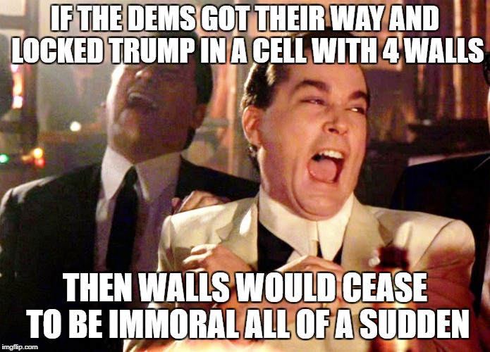 Good Fellas Hilarious | IF THE DEMS GOT THEIR WAY AND LOCKED TRUMP IN A CELL WITH 4 WALLS; THEN WALLS WOULD CEASE TO BE IMMORAL ALL OF A SUDDEN | image tagged in memes,good fellas hilarious | made w/ Imgflip meme maker