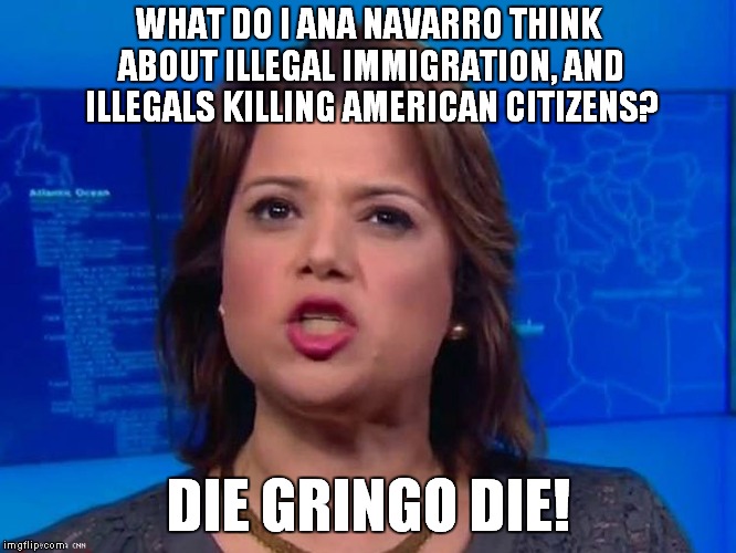 WHAT DO I ANA NAVARRO THINK ABOUT ILLEGAL IMMIGRATION, AND ILLEGALS KILLING AMERICAN CITIZENS? DIE GRINGO DIE! | made w/ Imgflip meme maker