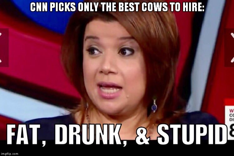 CNN PICKS ONLY THE BEST COWS TO HIRE: | made w/ Imgflip meme maker