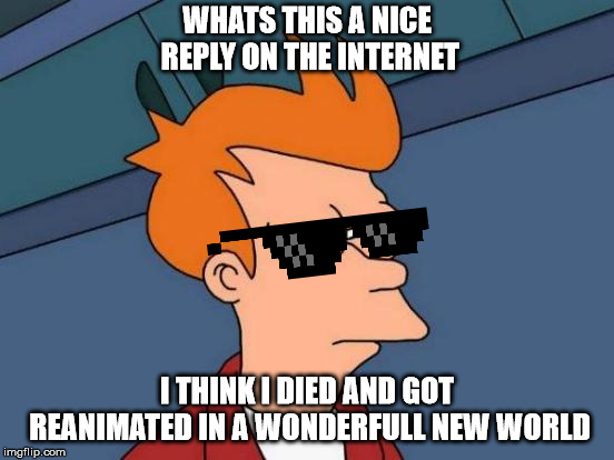 WHATS THIS A NICE REPLY ON THE INTERNET I THINK I DIED AND GOT REANIMATED IN A WONDERFULL NEW WORLD | image tagged in memes,futurama fry | made w/ Imgflip meme maker