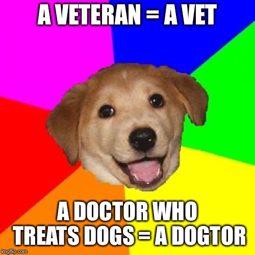 Advice Dog Meme | A VETERAN = A VET; A DOCTOR WHO TREATS DOGS = A DOGTOR | image tagged in memes,advice dog | made w/ Imgflip meme maker
