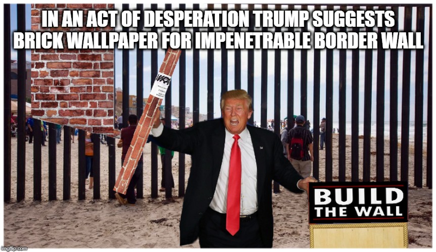 A DESPERATE MAN  | IN AN ACT OF DESPERATION TRUMP SUGGESTS BRICK WALLPAPER FOR IMPENETRABLE BORDER WALL | image tagged in border wall,president trump,trump is a moron,epic fail,build a wall | made w/ Imgflip meme maker
