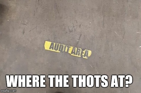 Audit area | WHERE THE THOTS AT? | image tagged in thot | made w/ Imgflip meme maker