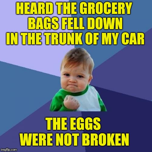 Success Kid Meme | HEARD THE GROCERY BAGS FELL DOWN IN THE TRUNK OF MY CAR; THE EGGS WERE NOT BROKEN | image tagged in memes,success kid | made w/ Imgflip meme maker