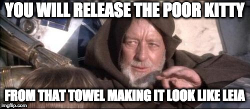 These Aren't The Droids You Were Looking For Meme | YOU WILL RELEASE THE POOR KITTY FROM THAT TOWEL MAKING IT LOOK LIKE LEIA | image tagged in memes,these arent the droids you were looking for | made w/ Imgflip meme maker