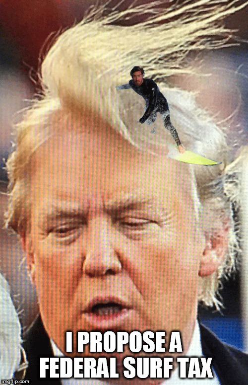 Hair's up! | I PROPOSE A FEDERAL SURF TAX | image tagged in donald trump | made w/ Imgflip meme maker
