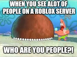 WHO ARE YOU PEOPLE? | WHEN YOU SEE ALOT OF PEOPLE ON A ROBLOX SERVER; WHO ARE YOU PEOPLE?! | image tagged in who are you people,roblox,memes | made w/ Imgflip meme maker