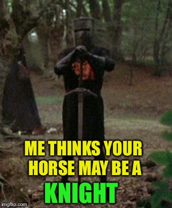 monty python black knight  | ME THINKS YOUR HORSE MAY BE A KNIGHT | image tagged in monty python black knight | made w/ Imgflip meme maker
