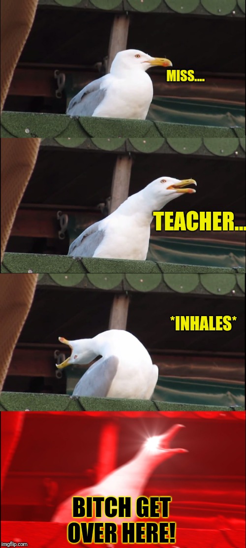 Inhaling Seagull Meme | MISS.... TEACHER.... *INHALES* B**CH GET OVER HERE! | image tagged in memes,inhaling seagull | made w/ Imgflip meme maker